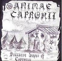 Animae Capronii : Bizzarre Signs of Capronii